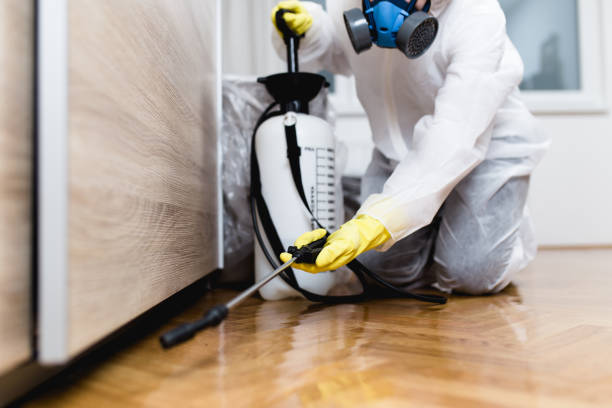 Best Mosquito Control Services  in Fairmont, WV