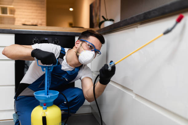 Best Best Pest Control Near Me  in Fairmont, WV