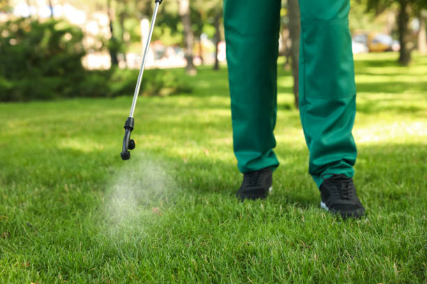 Best Pest Inspection Near Me  in Fairmont, WV
