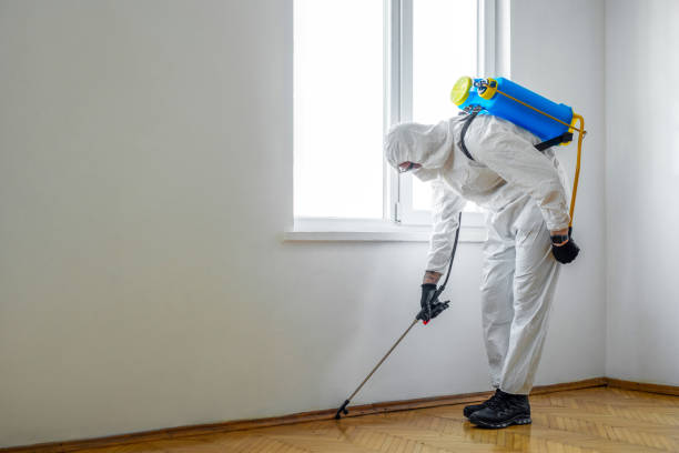 Pest Prevention Services in Fairmont, WV