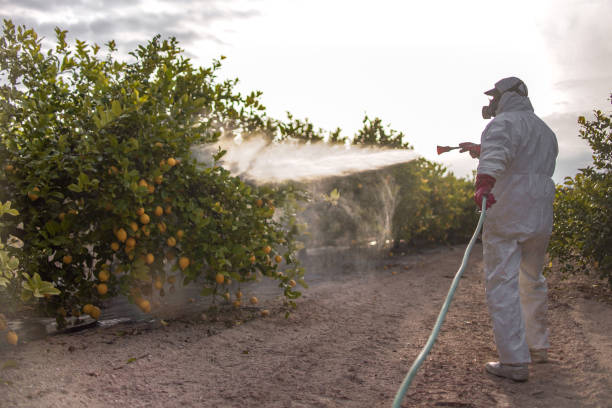 Professional Pest Control in Fairmont, WV