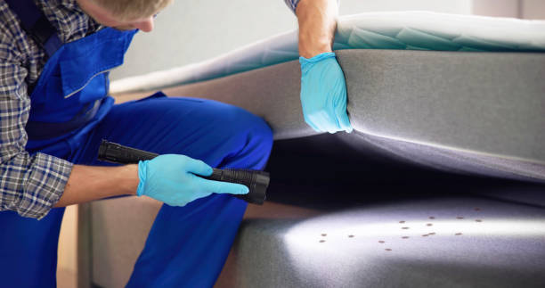 Pest Control for Restaurants in Fairmont, WV