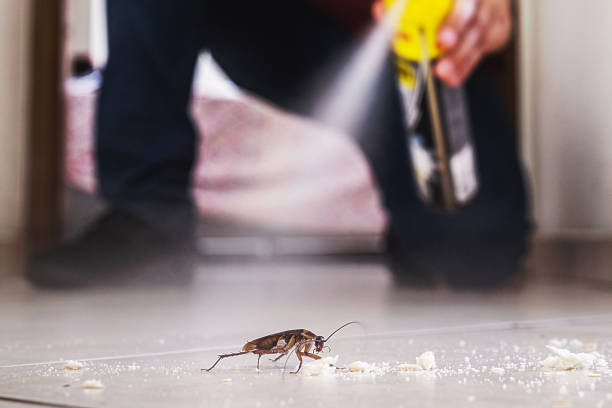 Best Emergency Pest Control  in Fairmont, WV