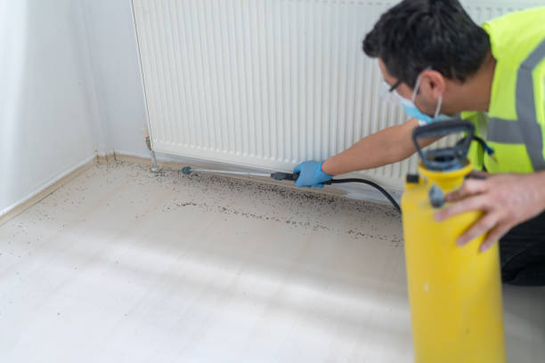 Best Bed Bug Extermination  in Fairmont, WV
